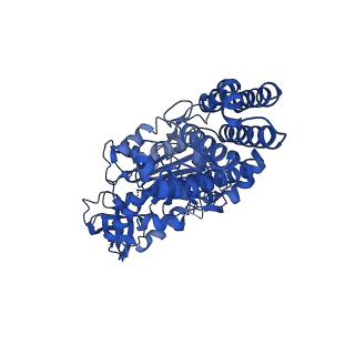 25999_7tmq_E_v1-4
V1 complex lacking subunit C from Saccharomyces cerevisiae, State 3