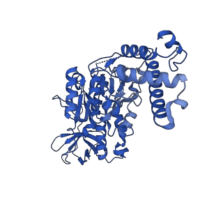 25999_7tmq_F_v1-3
V1 complex lacking subunit C from Saccharomyces cerevisiae, State 3