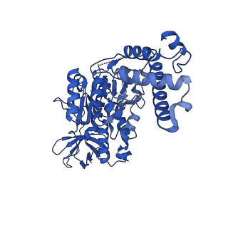 25999_7tmq_F_v1-4
V1 complex lacking subunit C from Saccharomyces cerevisiae, State 3