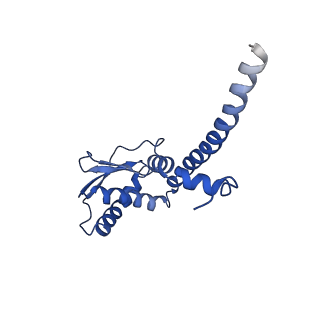 25999_7tmq_G_v1-4
V1 complex lacking subunit C from Saccharomyces cerevisiae, State 3