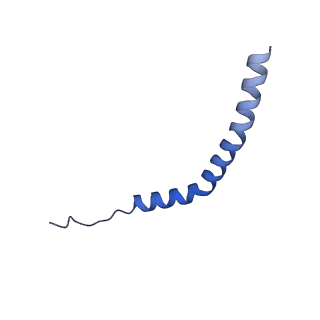 25999_7tmq_H_v1-4
V1 complex lacking subunit C from Saccharomyces cerevisiae, State 3