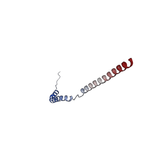 25999_7tmq_L_v1-4
V1 complex lacking subunit C from Saccharomyces cerevisiae, State 3