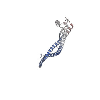 25999_7tmq_M_v1-4
V1 complex lacking subunit C from Saccharomyces cerevisiae, State 3