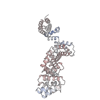 25999_7tmq_P_v1-3
V1 complex lacking subunit C from Saccharomyces cerevisiae, State 3