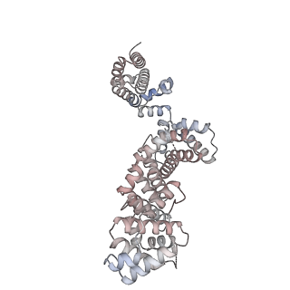 25999_7tmq_P_v1-4
V1 complex lacking subunit C from Saccharomyces cerevisiae, State 3