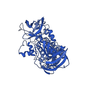 26000_7tmr_A_v1-4
V-ATPase from Saccharomyces cerevisiae, State 1