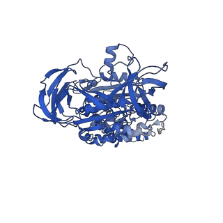 26000_7tmr_C_v1-3
V-ATPase from Saccharomyces cerevisiae, State 1