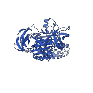 26000_7tmr_C_v1-4
V-ATPase from Saccharomyces cerevisiae, State 1