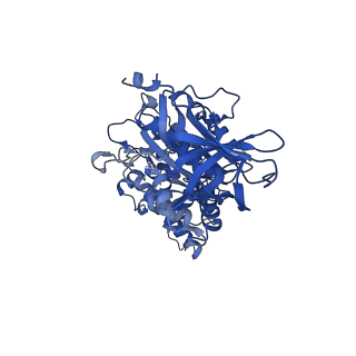 26000_7tmr_D_v1-3
V-ATPase from Saccharomyces cerevisiae, State 1