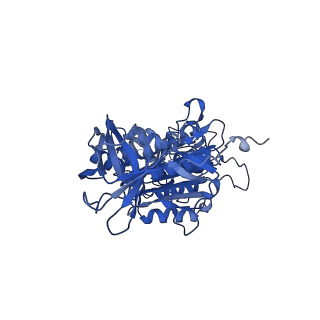 26000_7tmr_F_v1-3
V-ATPase from Saccharomyces cerevisiae, State 1