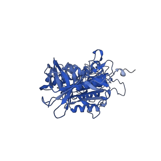 26000_7tmr_F_v1-4
V-ATPase from Saccharomyces cerevisiae, State 1