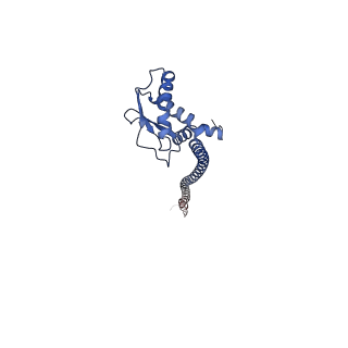 26000_7tmr_G_v1-3
V-ATPase from Saccharomyces cerevisiae, State 1