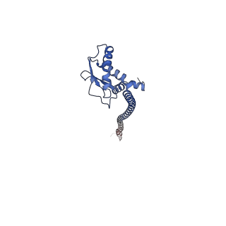 26000_7tmr_G_v1-4
V-ATPase from Saccharomyces cerevisiae, State 1