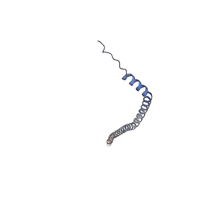 26000_7tmr_H_v1-3
V-ATPase from Saccharomyces cerevisiae, State 1