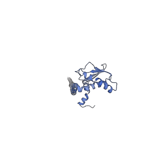 26000_7tmr_I_v1-3
V-ATPase from Saccharomyces cerevisiae, State 1