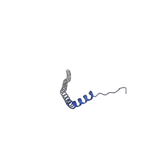 26000_7tmr_J_v1-3
V-ATPase from Saccharomyces cerevisiae, State 1
