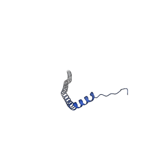 26000_7tmr_J_v1-4
V-ATPase from Saccharomyces cerevisiae, State 1