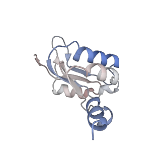 26000_7tmr_N_v1-3
V-ATPase from Saccharomyces cerevisiae, State 1