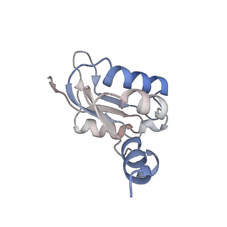 26000_7tmr_N_v1-4
V-ATPase from Saccharomyces cerevisiae, State 1