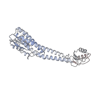 26000_7tmr_O_v1-4
V-ATPase from Saccharomyces cerevisiae, State 1