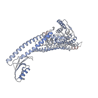 26000_7tmr_a_v1-3
V-ATPase from Saccharomyces cerevisiae, State 1