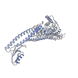 26000_7tmr_a_v1-4
V-ATPase from Saccharomyces cerevisiae, State 1