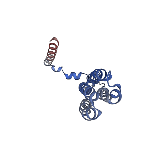 26000_7tmr_c_v1-3
V-ATPase from Saccharomyces cerevisiae, State 1