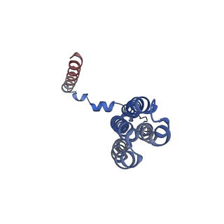 26000_7tmr_c_v1-4
V-ATPase from Saccharomyces cerevisiae, State 1