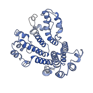26000_7tmr_d_v1-3
V-ATPase from Saccharomyces cerevisiae, State 1