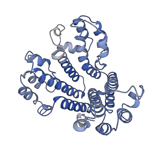 26000_7tmr_d_v1-4
V-ATPase from Saccharomyces cerevisiae, State 1