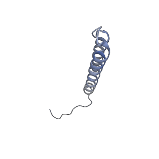 26000_7tmr_e_v1-3
V-ATPase from Saccharomyces cerevisiae, State 1