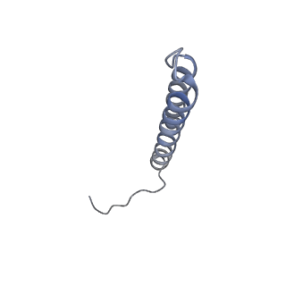 26000_7tmr_e_v1-4
V-ATPase from Saccharomyces cerevisiae, State 1