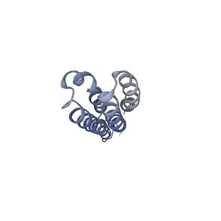 26000_7tmr_j_v1-3
V-ATPase from Saccharomyces cerevisiae, State 1