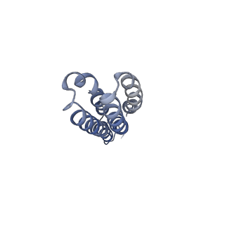 26000_7tmr_j_v1-4
V-ATPase from Saccharomyces cerevisiae, State 1