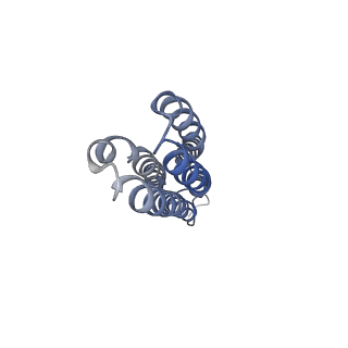26000_7tmr_k_v1-3
V-ATPase from Saccharomyces cerevisiae, State 1