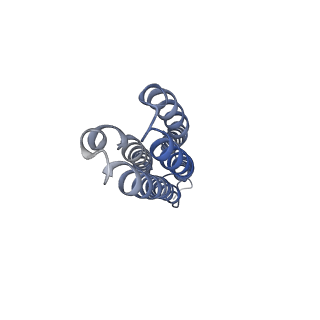 26000_7tmr_k_v1-4
V-ATPase from Saccharomyces cerevisiae, State 1