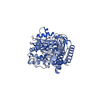 26001_7tms_A_v1-3
V-ATPase from Saccharomyces cerevisiae, State 2