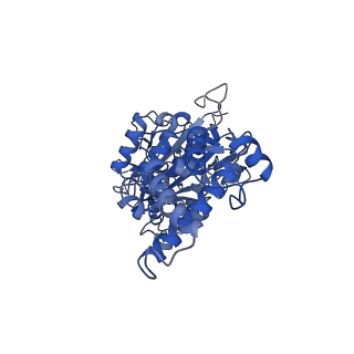 26001_7tms_B_v1-3
V-ATPase from Saccharomyces cerevisiae, State 2