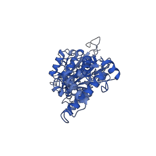 26001_7tms_B_v1-4
V-ATPase from Saccharomyces cerevisiae, State 2