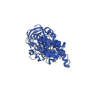 26001_7tms_C_v1-3
V-ATPase from Saccharomyces cerevisiae, State 2
