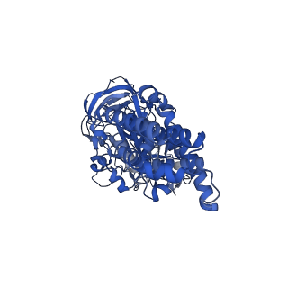 26001_7tms_C_v1-4
V-ATPase from Saccharomyces cerevisiae, State 2