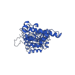 26001_7tms_D_v1-3
V-ATPase from Saccharomyces cerevisiae, State 2