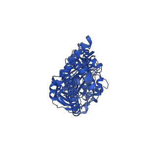 26001_7tms_E_v1-3
V-ATPase from Saccharomyces cerevisiae, State 2