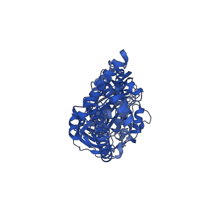 26001_7tms_E_v1-4
V-ATPase from Saccharomyces cerevisiae, State 2