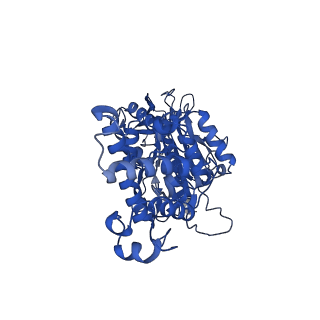 26001_7tms_F_v1-3
V-ATPase from Saccharomyces cerevisiae, State 2