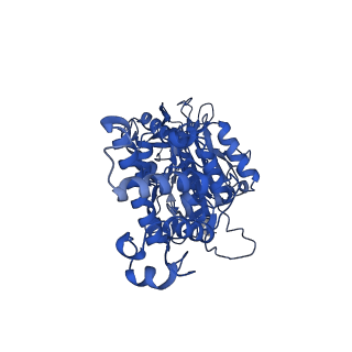 26001_7tms_F_v1-4
V-ATPase from Saccharomyces cerevisiae, State 2