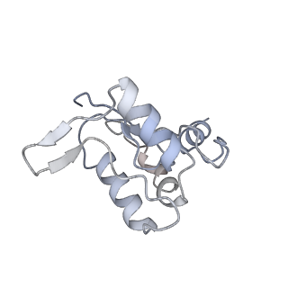 26001_7tms_N_v1-3
V-ATPase from Saccharomyces cerevisiae, State 2