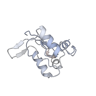 26001_7tms_N_v1-4
V-ATPase from Saccharomyces cerevisiae, State 2