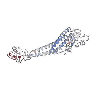 26001_7tms_O_v1-3
V-ATPase from Saccharomyces cerevisiae, State 2
