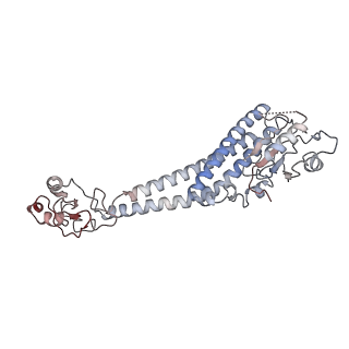 26001_7tms_O_v1-4
V-ATPase from Saccharomyces cerevisiae, State 2